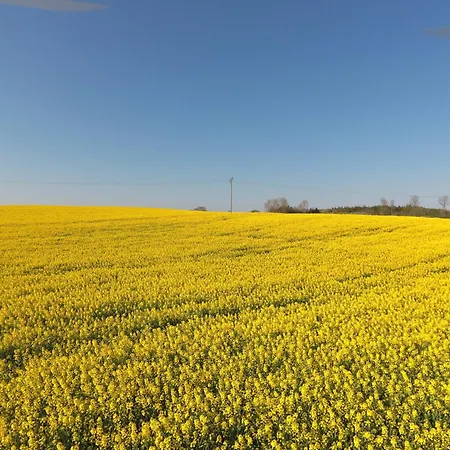 Apartment Schleiblick App 12 *